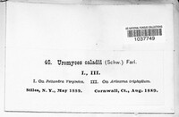 Image Associated With the Occurence